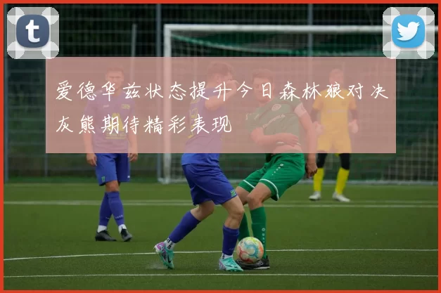 爱德华兹状态提升今日森林狼对决灰熊期待精彩表现